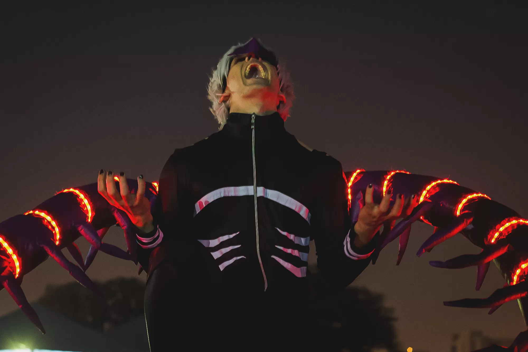 Foto 4590 — Anime Friends 2016