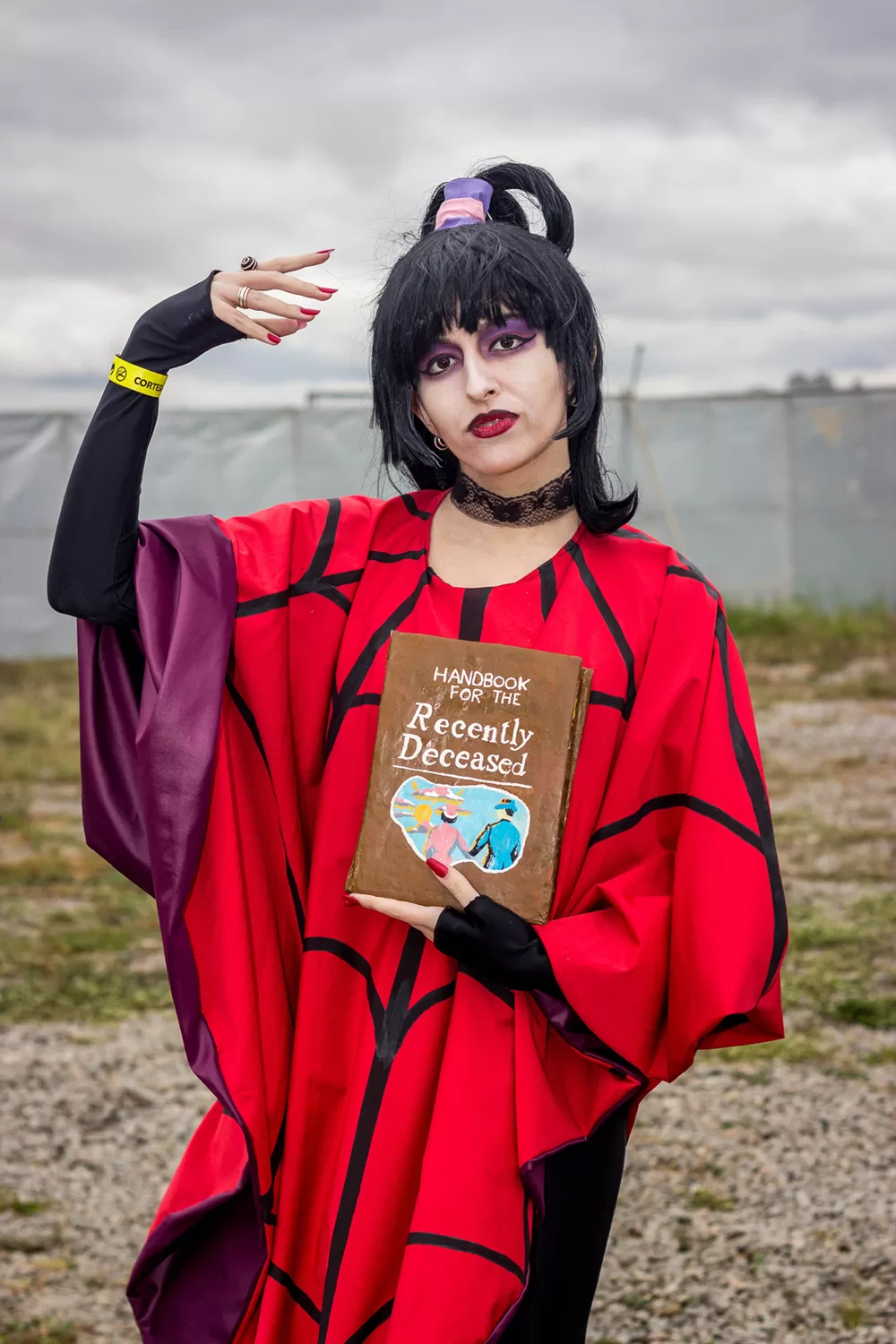 Foto 4875 — Anime Friends 2016