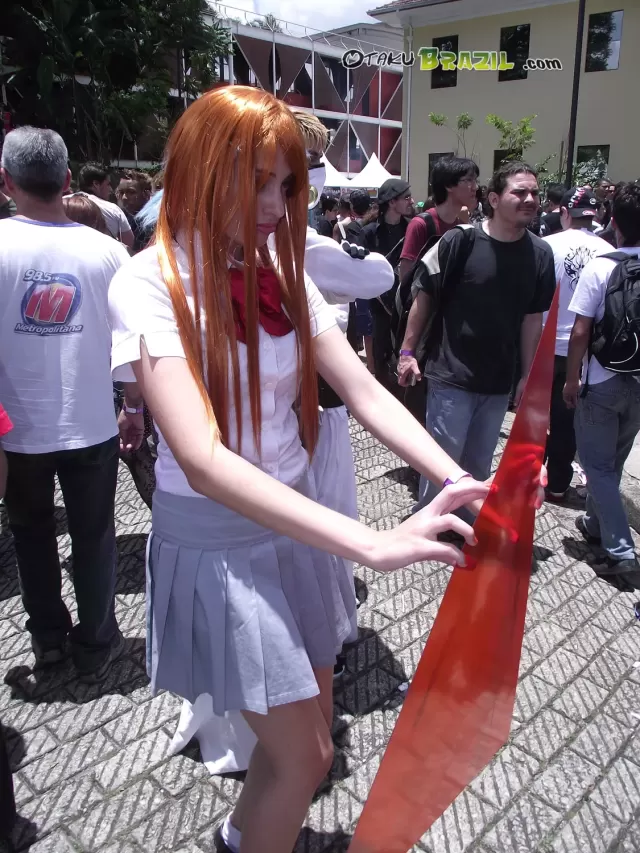 Anime Dreams 2011