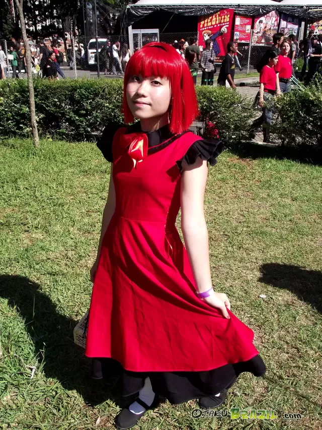 Anime Dreams 2011