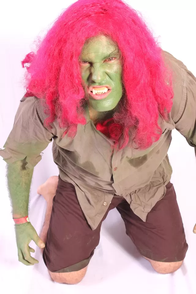 Campinas Anime Fest 2012