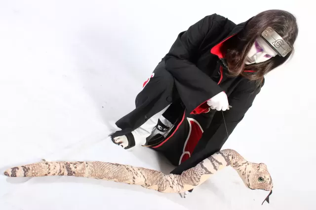 Campinas Anime Fest 2012