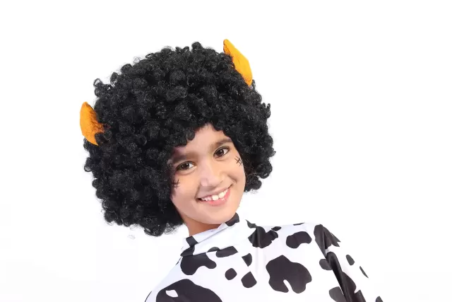 Campinas Anime Fest 2012