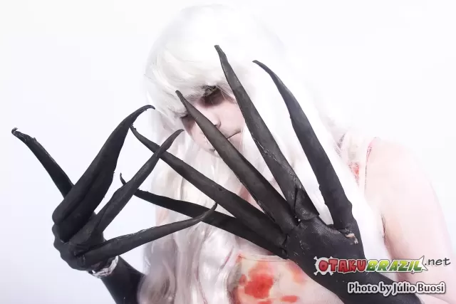 Campinas Anime Fest 2013