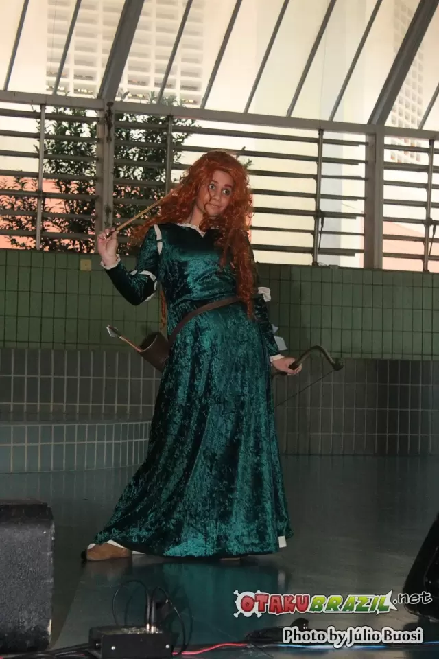 Campinas Anime Fest 2013