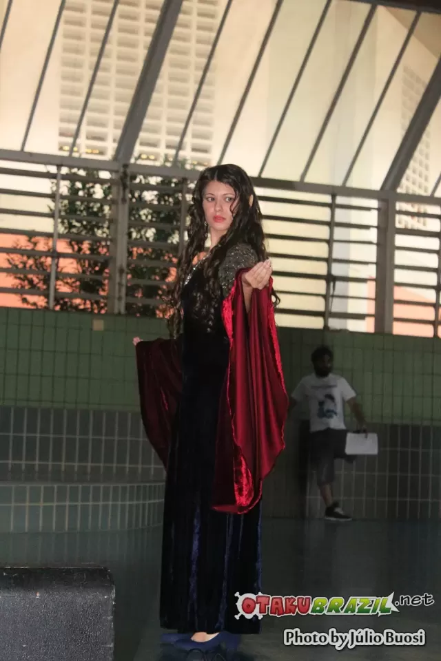 Campinas Anime Fest 2013