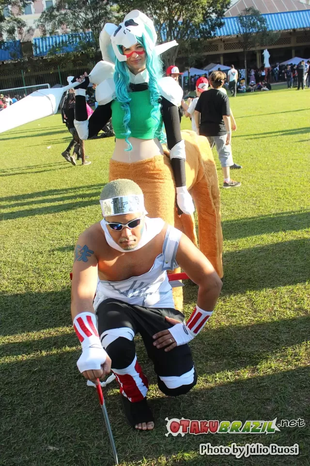 Campinas Anime Fest 2013