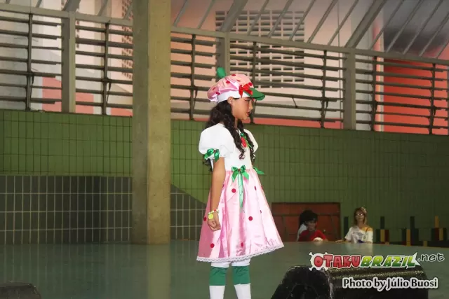 Campinas Anime Fest 2013