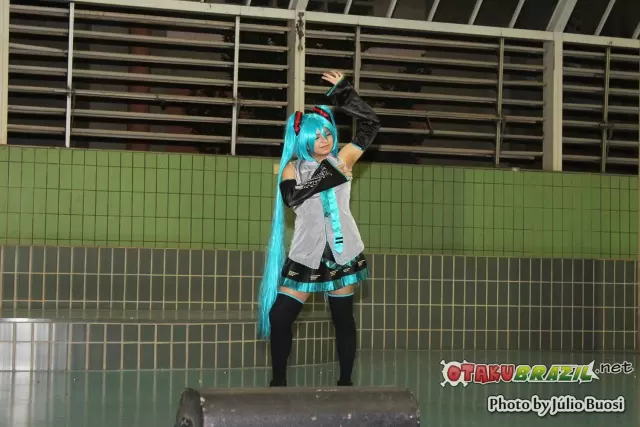 Campinas Anime Fest 2013