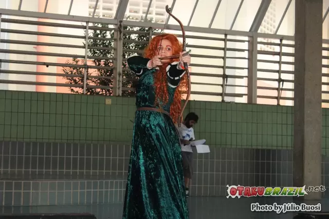 Campinas Anime Fest 2013